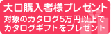 �v���[���g