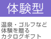 体験型