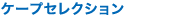 �J�^���O�M�t�g �P�[�v�Z���N�V����