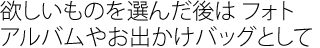 欲しいものを選んだ後はフォトアルバムやお出かけバッグとして