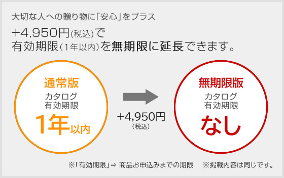 +2700円で有効期限延長