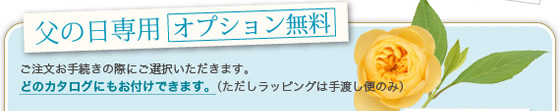 父の日カタログギフト専用オプション