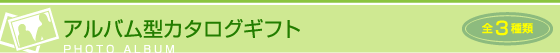 アルバム型カタログギフト（プレシャスポケット／マイプレシャス）