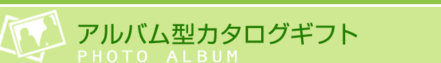 アルバム型カタログギフト（プレシャスポケット／マイプレシャス）